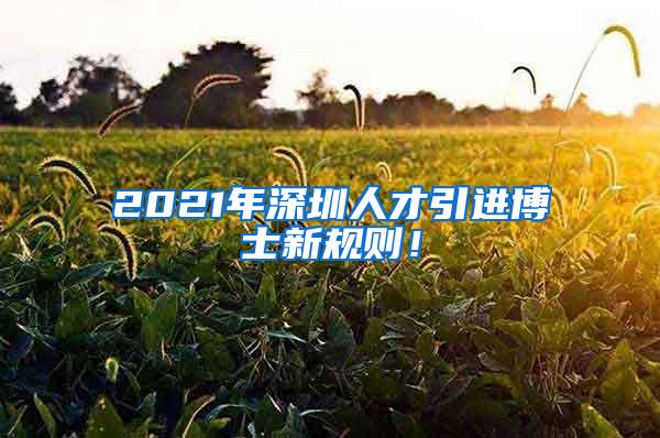 2021年深圳人才引进博士新规则！