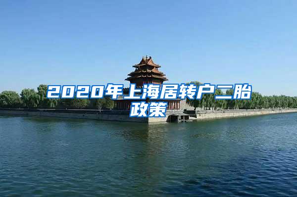 2020年上海居转户二胎政策