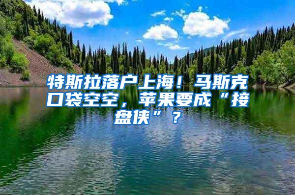 特斯拉落户上海！马斯克口袋空空，苹果要成“接盘侠”？