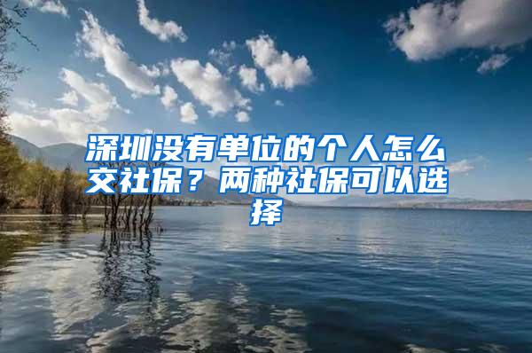 深圳没有单位的个人怎么交社保？两种社保可以选择