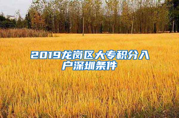 2019龙岗区大专积分入户深圳条件