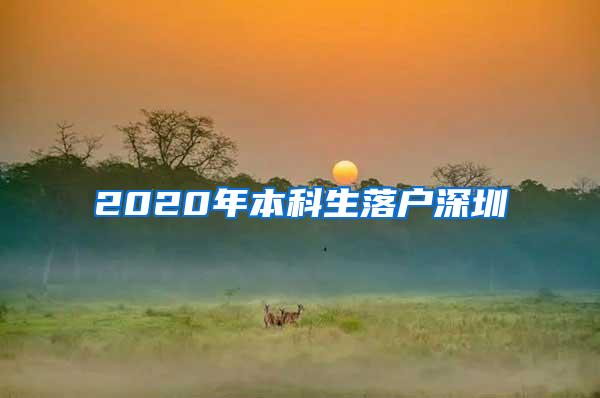 2020年本科生落户深圳