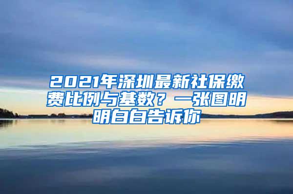 2021年深圳最新社保缴费比例与基数？一张图明明白白告诉你