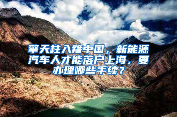 擎天柱入籍中国，新能源汽车人才能落户上海，要办理哪些手续？