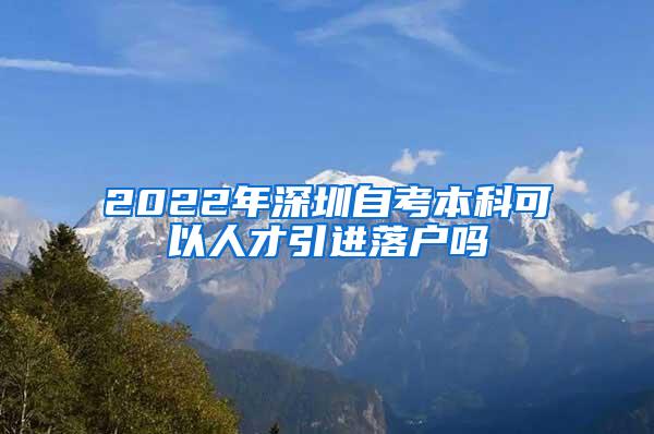 2022年深圳自考本科可以人才引进落户吗