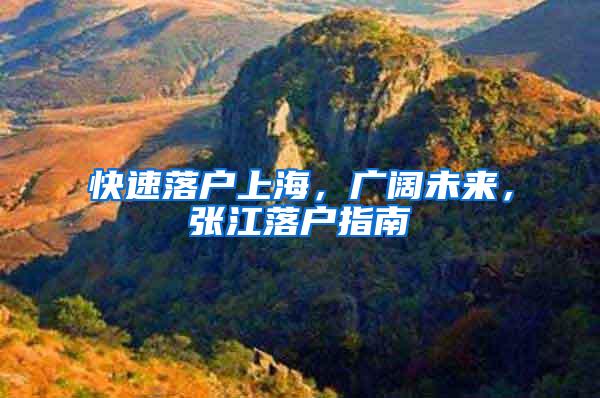 快速落户上海，广阔未来，张江落户指南