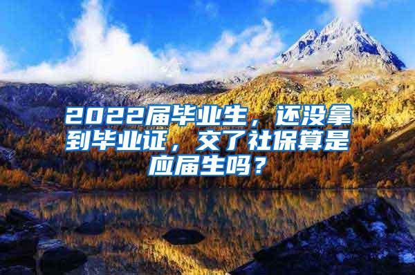2022届毕业生，还没拿到毕业证，交了社保算是应届生吗？
