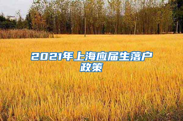 2021年上海应届生落户政策