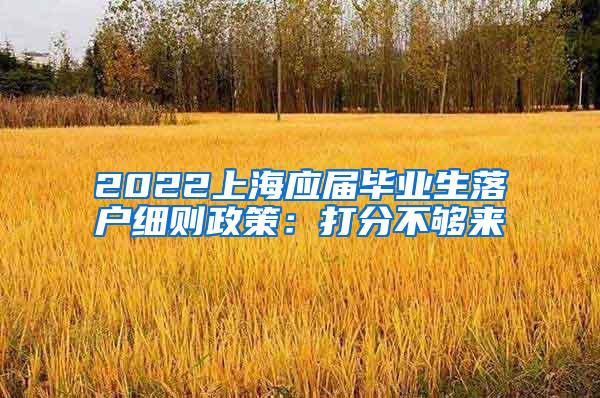 2022上海应届毕业生落户细则政策：打分不够来