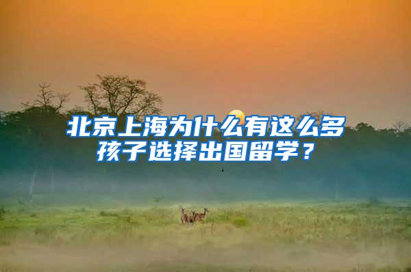 北京上海为什么有这么多孩子选择出国留学？