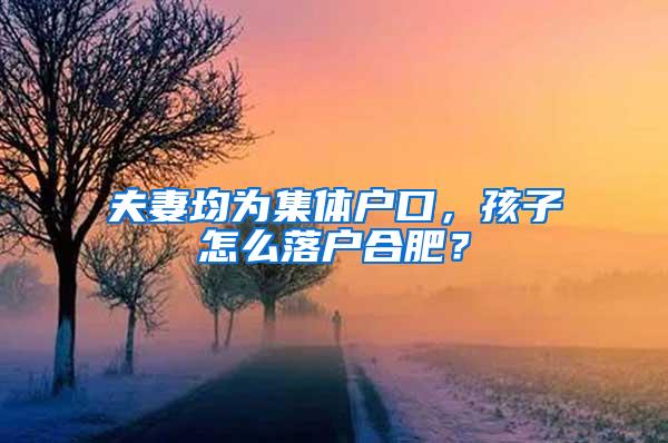 夫妻均为集体户口，孩子怎么落户合肥？