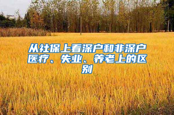 从社保上看深户和非深户医疗、失业、养老上的区别