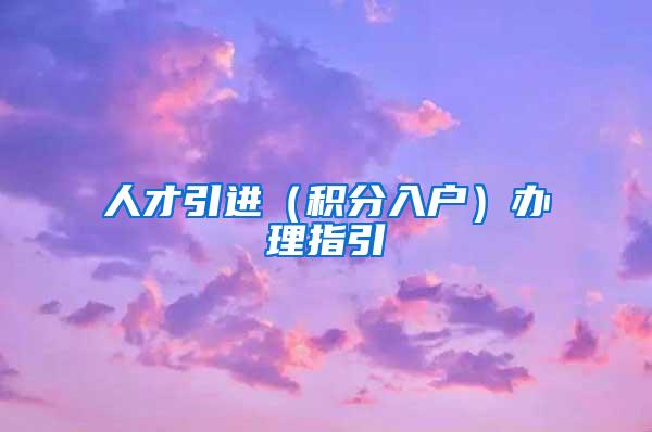 人才引进（积分入户）办理指引