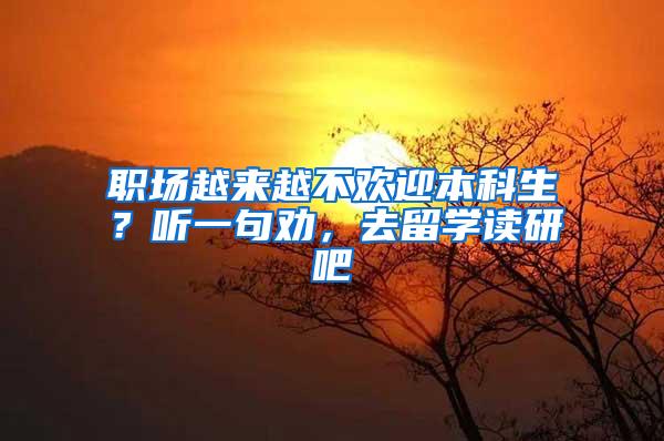 职场越来越不欢迎本科生？听一句劝，去留学读研吧