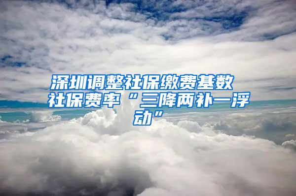 深圳调整社保缴费基数 社保费率“三降两补一浮动”