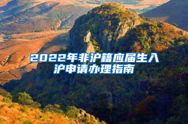 2022年非沪籍应届生入沪申请办理指南
