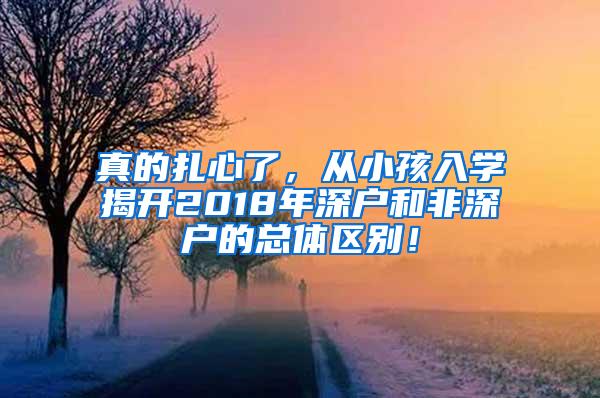 真的扎心了，从小孩入学揭开2018年深户和非深户的总体区别！