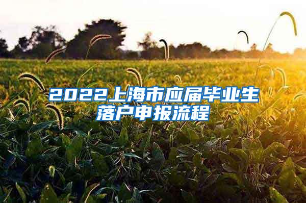 2022上海市应届毕业生落户申报流程