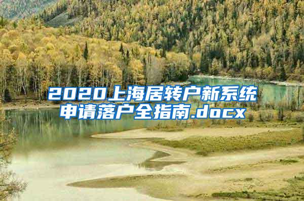 2020上海居转户新系统申请落户全指南.docx