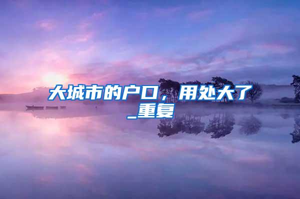 大城市的户口，用处大了_重复