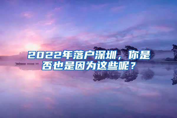 2022年落户深圳，你是否也是因为这些呢？