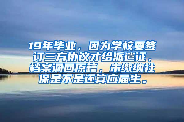 19年毕业，因为学校要签订三方协议才给派遣证，档案调回原籍，未缴纳社保是不是还算应届生。