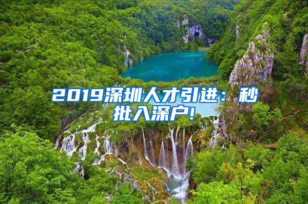 2019深圳人才引进：秒批入深户!