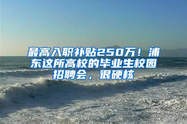 最高入职补贴250万！浦东这所高校的毕业生校园招聘会，很硬核