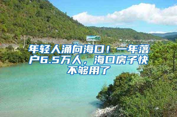 年轻人涌向海口！一年落户6.5万人，海口房子快不够用了