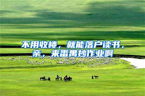 不用收楼，就能落户读书，亲，来番禺抄作业啊