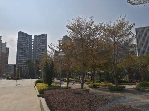 深圳结婚入户要求