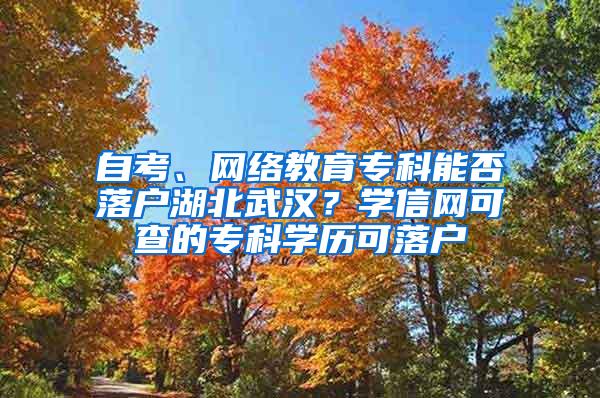 自考、网络教育专科能否落户湖北武汉？学信网可查的专科学历可落户