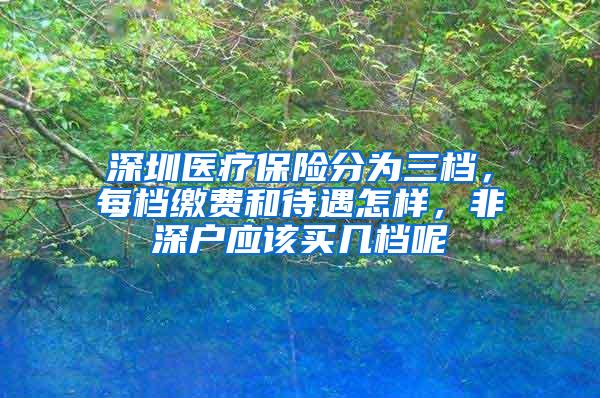 深圳医疗保险分为三档，每档缴费和待遇怎样，非深户应该买几档呢
