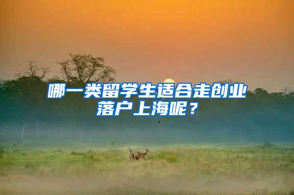 哪一类留学生适合走创业落户上海呢？