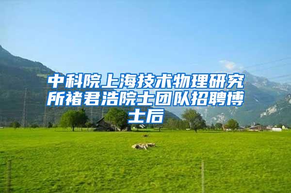 中科院上海技术物理研究所褚君浩院士团队招聘博士后