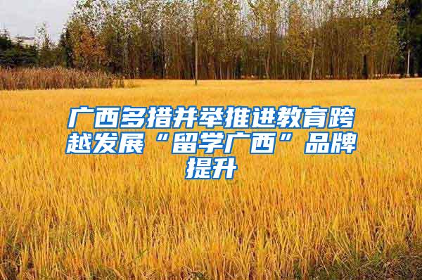 广西多措并举推进教育跨越发展“留学广西”品牌提升