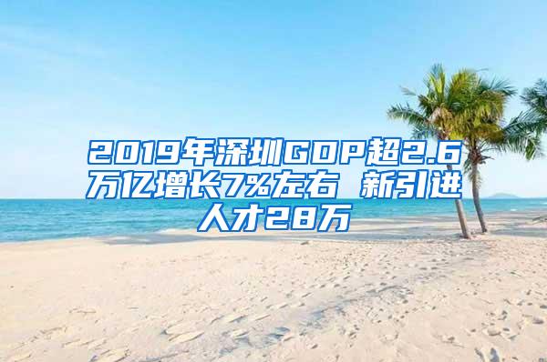 2019年深圳GDP超2.6万亿增长7%左右 新引进人才28万