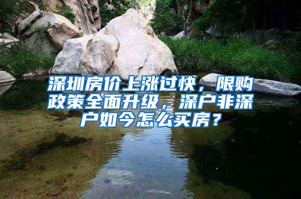 深圳房价上涨过快，限购政策全面升级，深户非深户如今怎么买房？