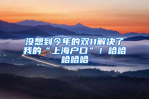没想到今年的双11解决了我的“上海户口”！哈哈哈哈哈