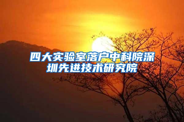 四大实验室落户中科院深圳先进技术研究院