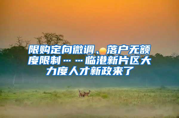 限购定向微调、落户无额度限制……临港新片区大力度人才新政来了