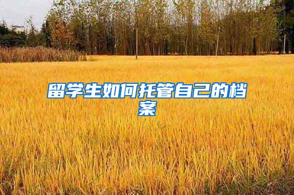 留学生如何托管自己的档案