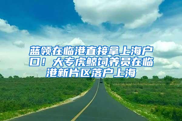 蓝领在临港直接拿上海户口！大专虎鲸饲养员在临港新片区落户上海