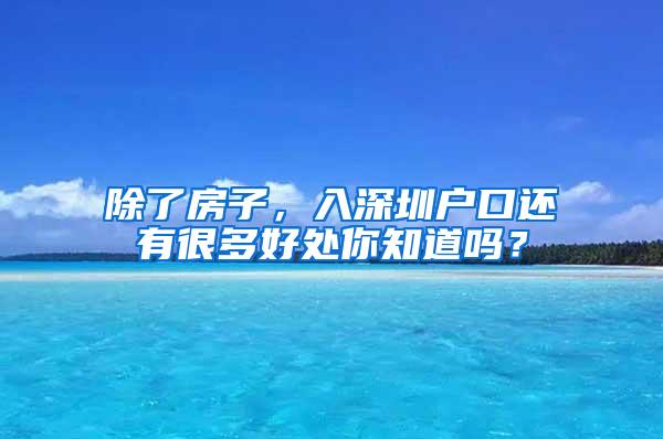 除了房子，入深圳户口还有很多好处你知道吗？
