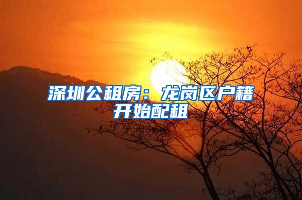 深圳公租房：龙岗区户籍开始配租