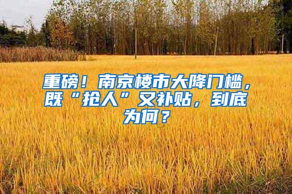 重磅！南京楼市大降门槛，既“抢人”又补贴，到底为何？