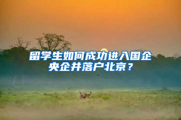 留学生如何成功进入国企央企并落户北京？