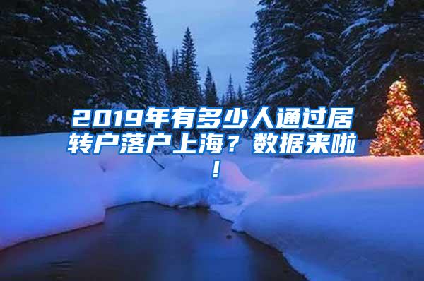 2019年有多少人通过居转户落户上海？数据来啦！