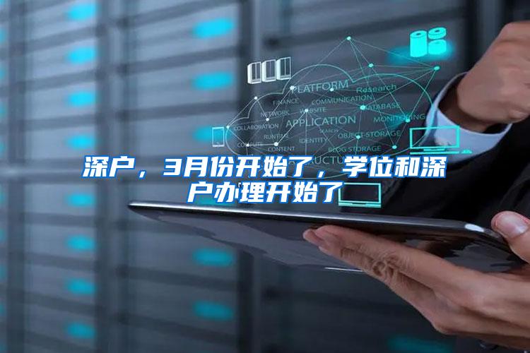 深户，3月份开始了，学位和深户办理开始了