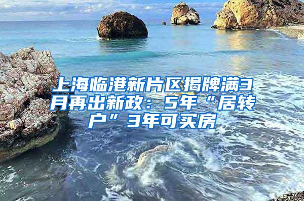 上海临港新片区揭牌满3月再出新政：5年“居转户”3年可买房